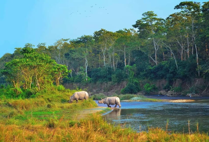 Kathmandu/Pokhara: 3 Day Chitwan Jungle Safari Tour - Price and value: what $129 covers, and why that is not just a number