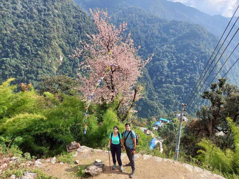 Kathmandu/Pokhara: 5-Day Annapurna Base Camp (ABC) Trek - Price and value: what you get for about $96
