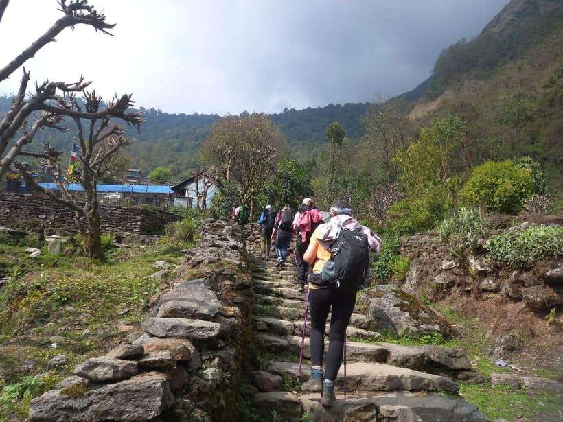Kathmandu/Pokhara: 5-Day Annapurna Base Camp (ABC) Trek - The guide team matters more than you think