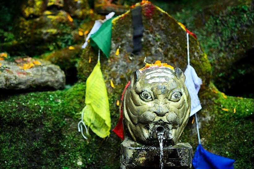 Kathmandu: Shivapuri Day Hike with Lunch - Key points to know before you go