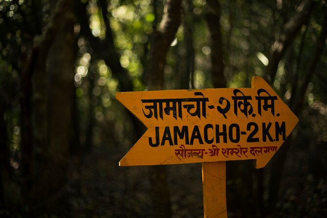 Kathmandu Shivapuri National Park and Nagarkot Hiking - 3 Days - Your Guide, Your Group, and How the Day Stays Flexible