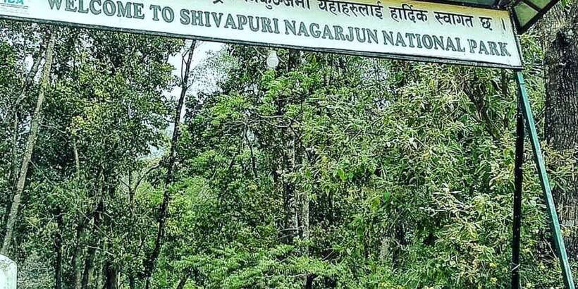 Kathmandu: Shivapuri National park Day Hiking - Price and Logistics: What You Pay, What You Still Need to Budget