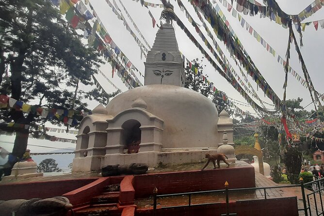 Kathmandu Top 4 or 2 UNESCO World Heritage Sites Day Tour - Hotel Door Pickup, a Driver Who Keeps Your Kathmandu Day on Track