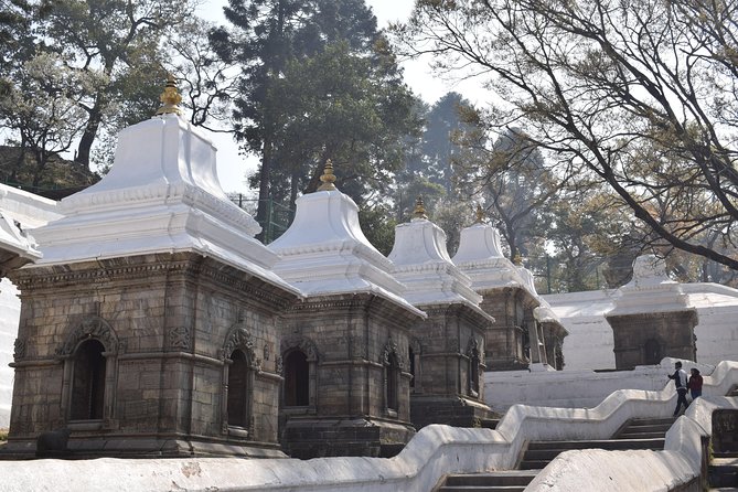 Kathmandu World Heritage Full Day Culture Tour - Price and what you really get for $105