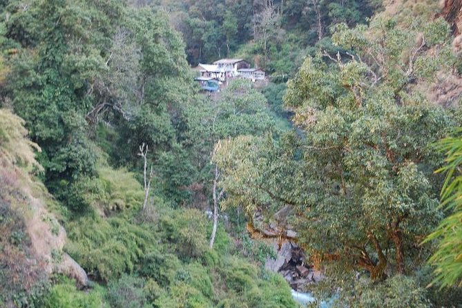 Langtang Valley Trek - 8 Days - Day 3: Langtang village and Tamang stone houses with yaks