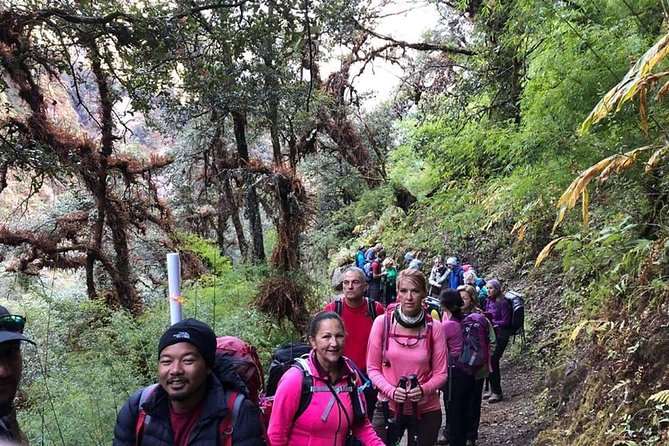 Langtang Valley Trek - Day 7 to Day 8: Downhill to Lama Hotel and Syabrubesi