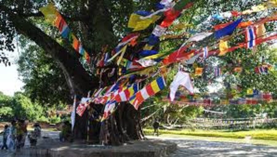 Lumbini Full day tour with Guide - Meeting your guide, picking up the right pace, and starting inside Lumbini