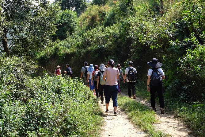 Luxury Changu Nagarkot Hike with Overnight Stay & Bhaktapur Tour - Overnight in Nagarkot: where the views actually make sense