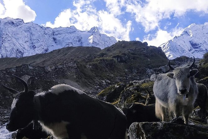 Manaslu Circuit Trek: - Why Manaslu feels special, even before the first step