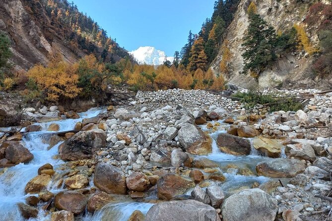 Manaslu Circuit Trek 15 Days. - The Kathmandu start: Thamel, orientation, and getting your bearings