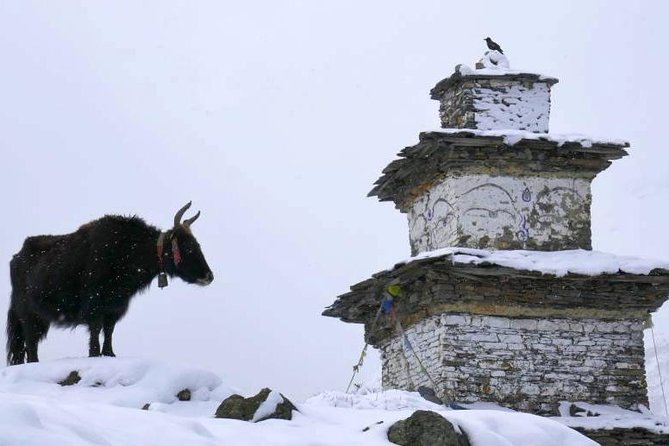 Manaslu Circuit Trekking - 17 Days - Namrung to Sama Gaon: where the trek starts asking for patience