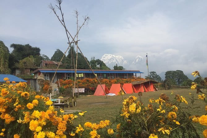 Mardi Himal - Dhampus and Deurali: The First Real Climb (and Where Permits Fit In)