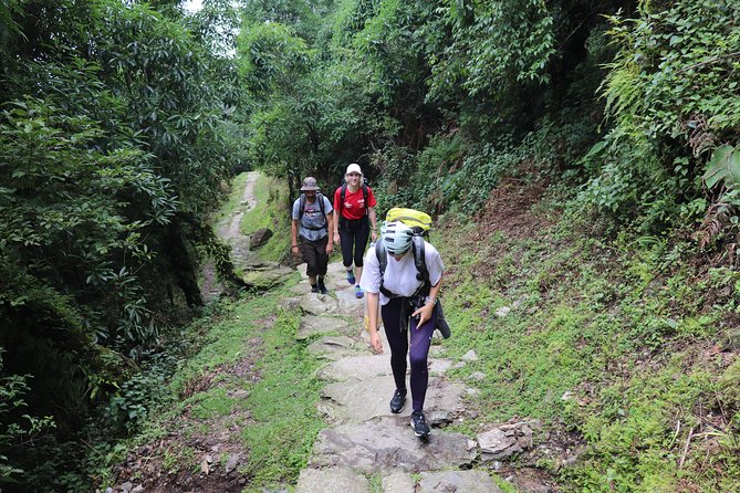 Mardi Himal Base Camp Trek (5 Days) - Key Highlights You’ll Actually Care About