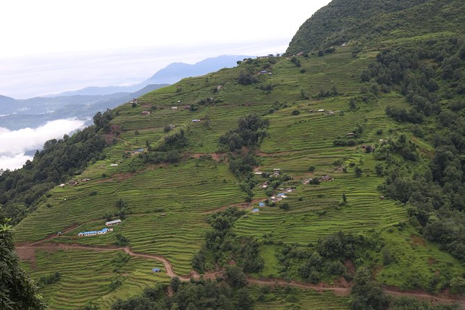 Mardi Himal Base Camp Trek (5 Days) - Why Mardi Himal Feels Different Than Annapurna Base Camp