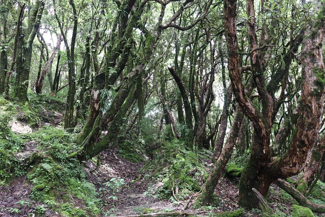 Mardi Himal Base Camp Trek (5 Days) - High Camp and 360-Degree Views: Day 3 Goals