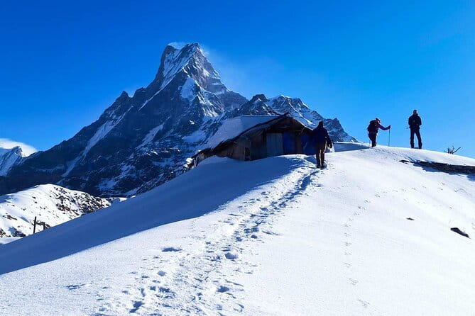 Mardi Himal Base Camp Trek from Pokhara 4 Days - Day 2: Sunrise with Fishtail, then High Camp via forest to open trail
