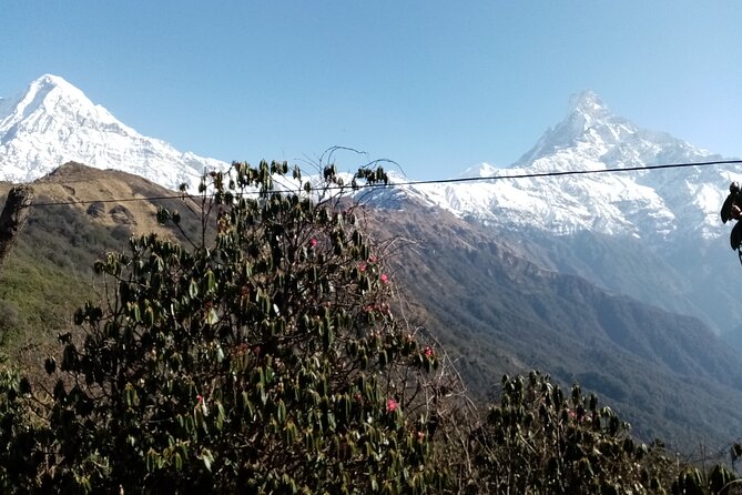 Mardi Himal Newly Discovered Trekking from Pokhara Nepal - Teahouses and meals, what’s covered and what you’ll pay for