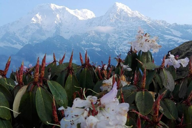 Mardi Himal Trek - 12 Days - Entering Mardi Himal from the Kathmandu Thamel side