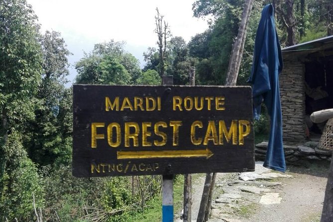 Mardi Himal Trek - 12 Days - What Mardi Himal gives you: ridgelines, forest climbs, and real peak presence