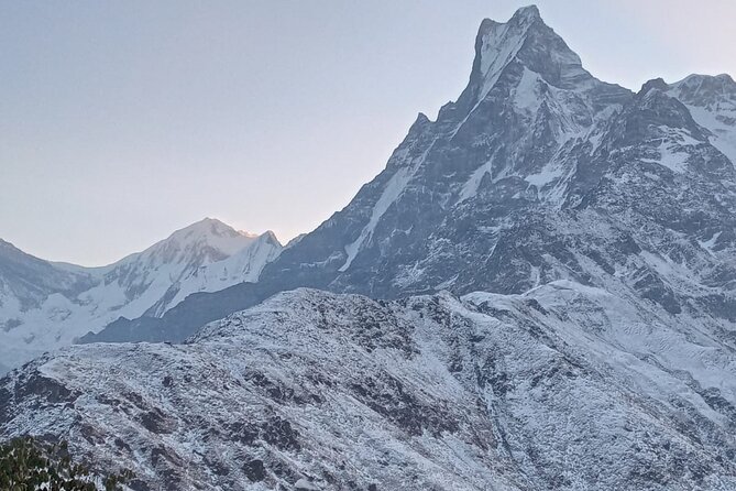 Mardi Himal Trek 4N-5D - Day 2: sunrise, rhododendron forests, and the Day 2 no tea house stretch