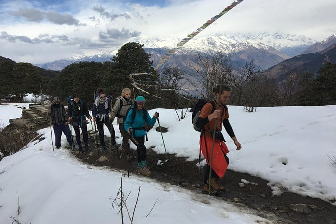 Mardi Himal Trek -5 Day Short Trek From Pokhara - Day 3 to High Camp: Where the Views Start Doing the Talking