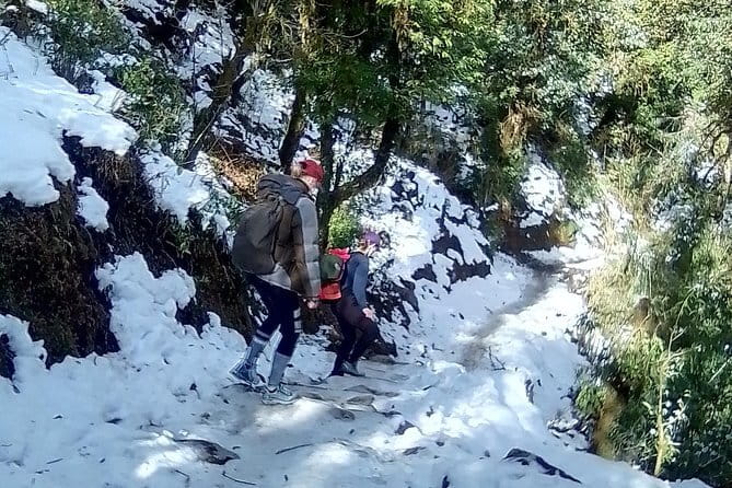 Mardi Himal Trek - What You Actually Get for $399, and Where the Value Shows