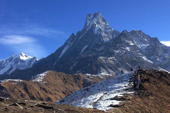 Mardi Himal Trek - Day 6 sunrise ridge and grassy pastures: dzo, herder huts, and the best views