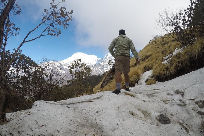 Mardi Himal Trekking - From Kathmandu pickup to your trek start: how the trip begins