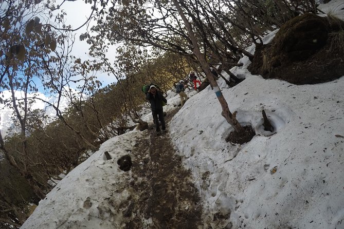 Mardi Himal Trekking - Who this Mardi Himal trek fits best