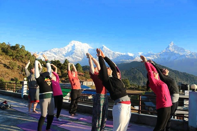Mardi Himal Yoga Trek - Key things that make this trek worth your time