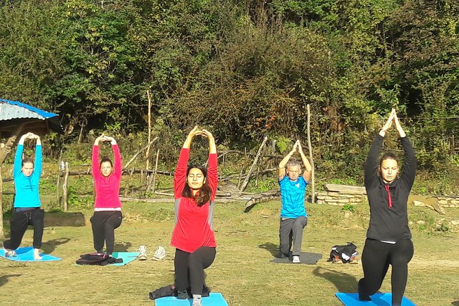 Mardi Himal Yoga Trek - Heading Back Down to Pokhara and Kathmandu
