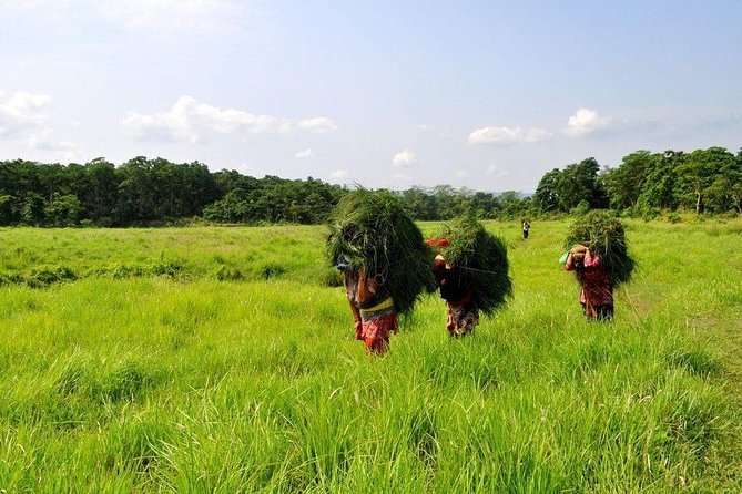 Millennium Homestay Trek - Gurunghe Hill Walk: Steep Steps, Ethnic Diversity, and River Rhythm