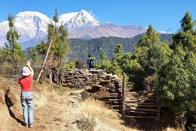 Mohare Danda Trek - From Ghandruk Down to Pokhara: Last Trek Day, Then Real Food and Warm Beds