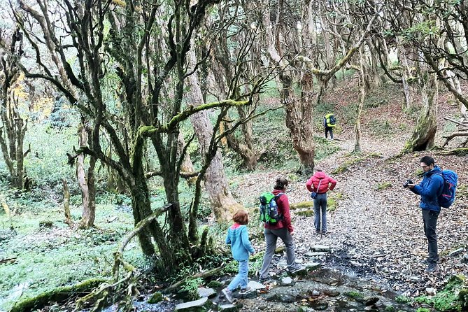Mohare Danda Trek - Guides and team support, including names you can hold onto