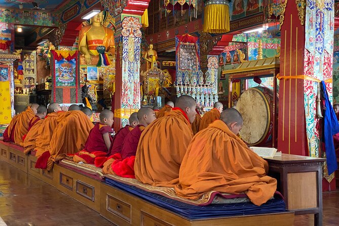 Morning Tibetan cultural tour to Tibetan settlements Pokhara - Pema Tsal Sakya Monastic Institute, ask a young monk anything