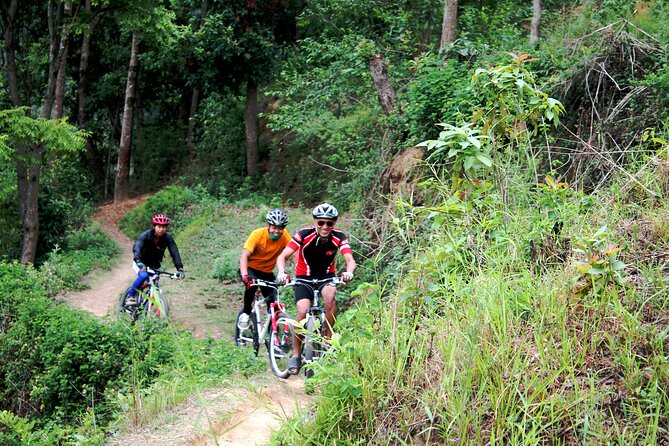 Mountain Bike Tour - From city routes to Shivapuri National Park riding