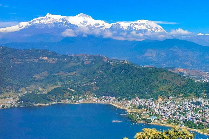 Multi-Day Sites of Nepal Tour from Kathmandu with Poon Hill Trek- 9 Days - Ulleri to Ghorepani: Rhododendron Forests, Bird Songs, and the Gentle Build-Up