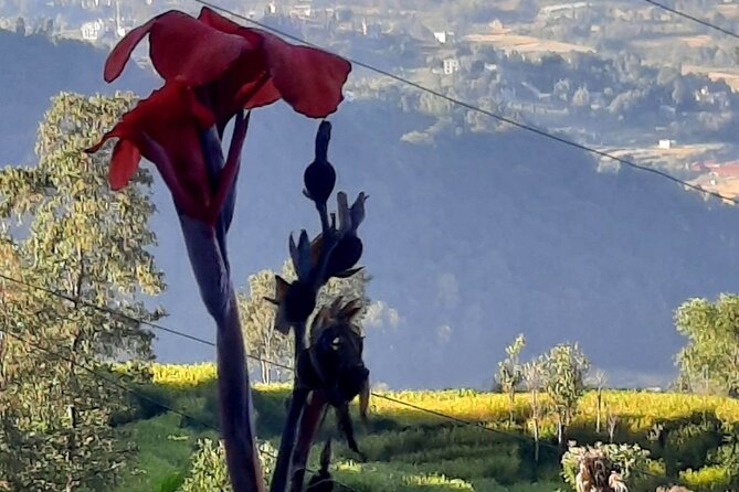 Nagarkot (2175m) Sunrise and Day Hike to Changunarayan Temple - Why Nagarkot Sunrise Plus Changunarayan Temple Works So Well