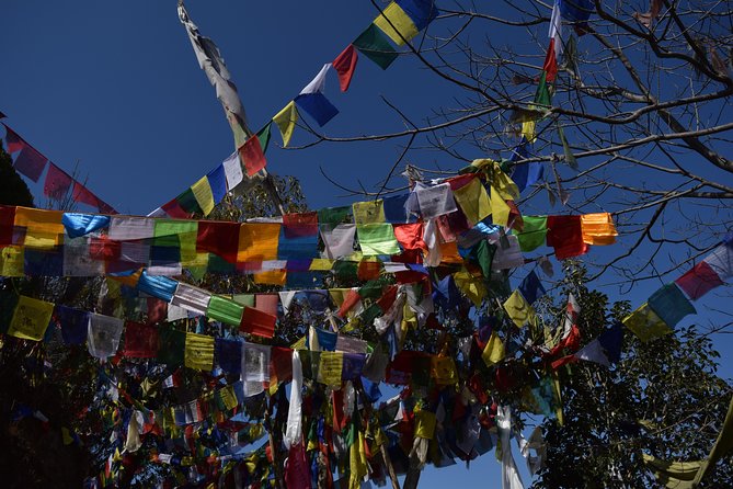 Namo Buddha and Thrangu Tashi Yangtse Monastery Half-Day Tour - A half-day escape that starts with a simple meeting point