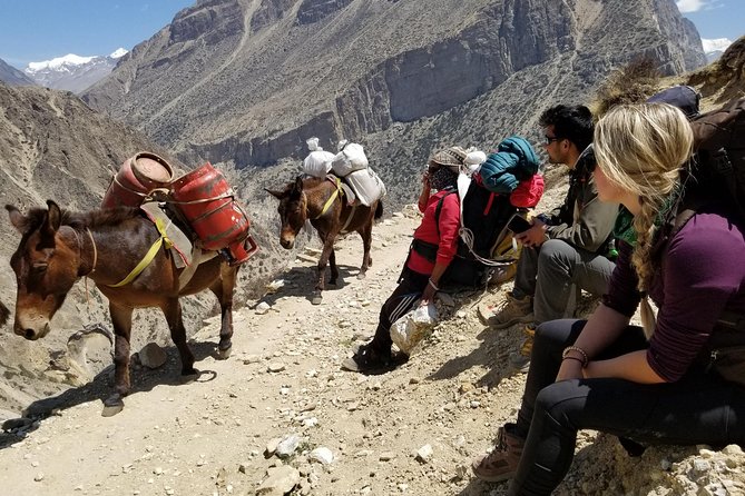Nar Phu Valley Trek - 12 Days - Kathmandu start: three hotel nights and a chance to get your rhythm