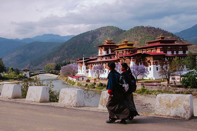 Nepal and Bhutan Tour - 12 Days - Day 1 in Kathmandu: the airport meet and your first feel for the city