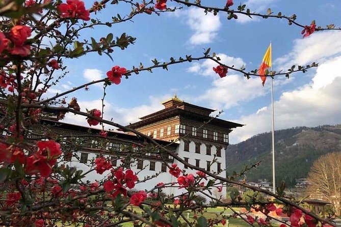 Nepal and Bhutan Tours - Thamel Night One, A Real Kathmandu Welcome Without the Headache