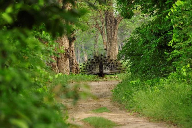 Nepal at a Glance Luxury -11 Days - Bandipur: hill-town culture, short hikes, and river scenery