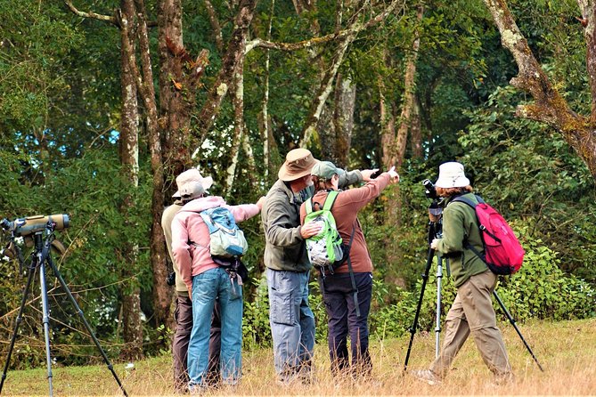 Nepal Birding - How your bird guide helps you spot more than you would alone
