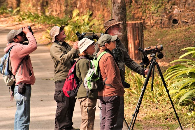 Nepal Birding - Timing, walking pace, and what to plan for in a 6 to 11 hour day
