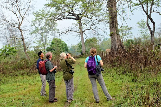 Nepal Birding - Price and value: what $225 per person gets you