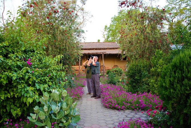 Nepal Birding - If Chitwan National Park is part of your day: spiny babblers and raptor hunting