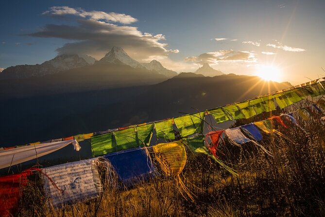 Nepal Cultural Highlights Tour in 10 Days - Chitwan National Park: Canoeing the Rapti River and Watching Wildlife Up Close