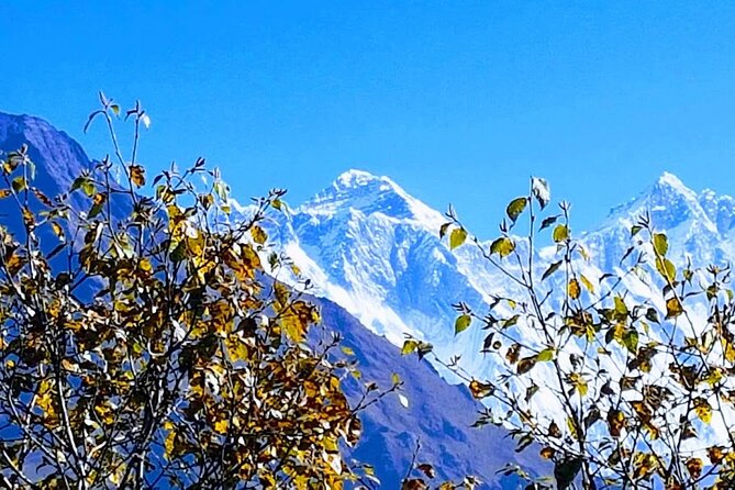 Nepal Discovery Tour: Heritage Sites & Scenic Hill Easy Hike - World Heritage Day in Kathmandu: Swayambhunath, Pashupatinath, Boudhanath