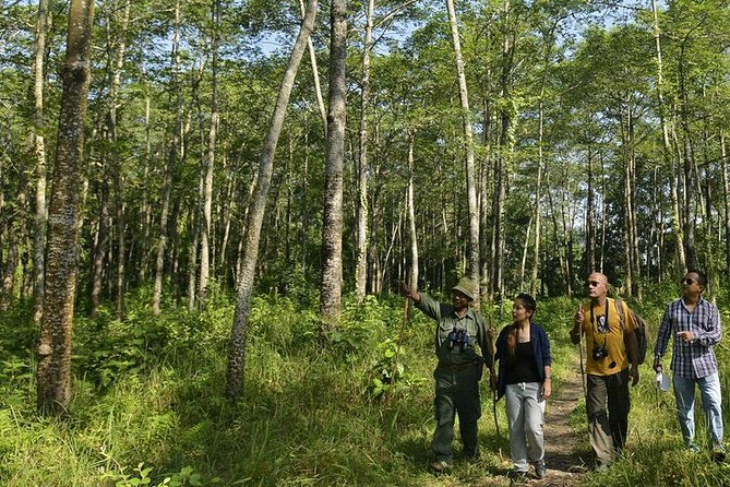 Nepal in Luxury: Kathmandu, Chitwan & Pokhara Escape - 8 Days - Day 3 and 4 Chitwan National Park: safari days with two all-inclusive nights